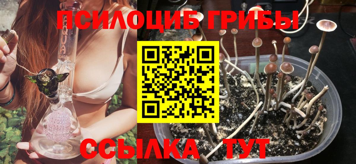 Псилоцибиновые грибы прущие грибы Заволжье