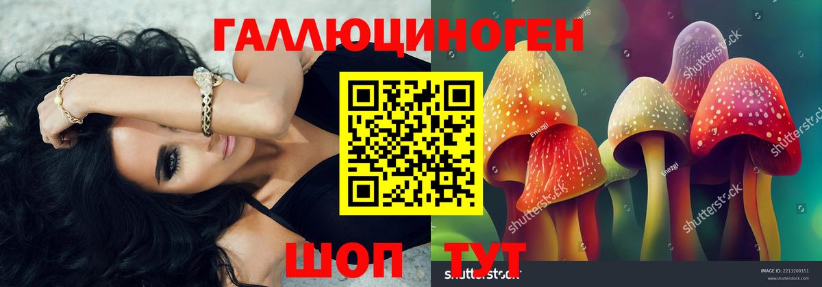Заволжье  Псилоцибиновые грибы Psilocybe  Вход с VPN 
