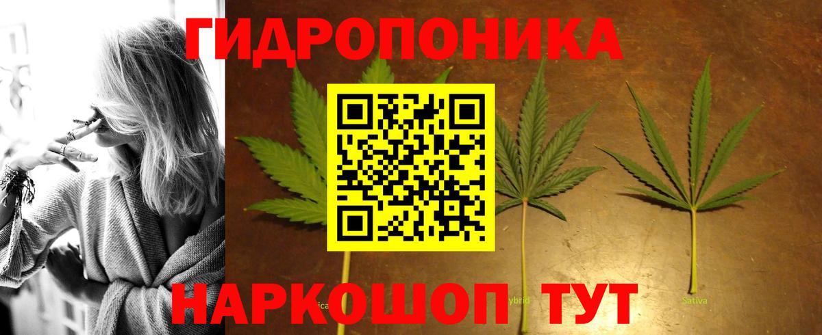 Заволжье  МАРИХУАНА гибрид  Канабис Bruce Banner  Бошки марихуана сатива  Вход с VPN  Конопля ГИДРОПОН 